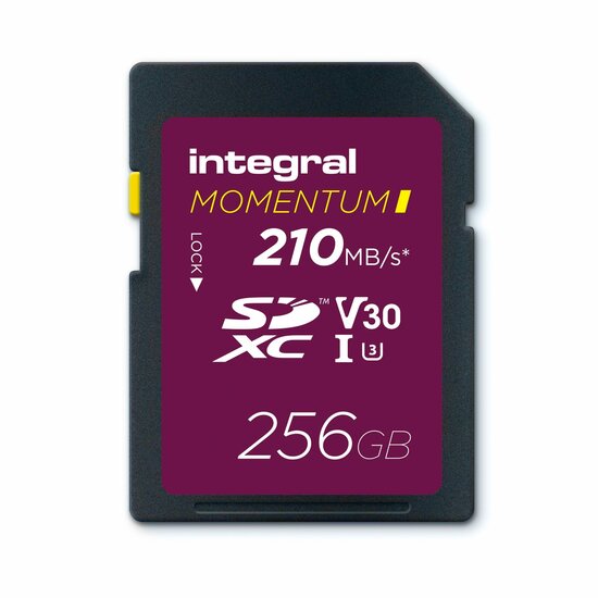 SDXC MOMENTUM I 256GB 210 MB/sec UHS-I